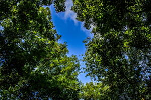 hdr12