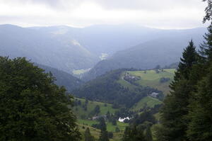 landschaft2