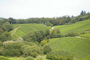 landschaft4
