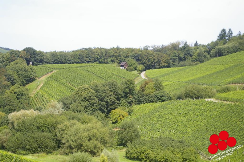 landschaft4.jpg