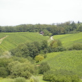 landschaft4