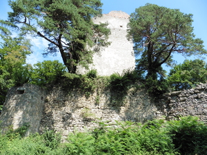 landschaft8