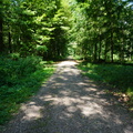 DSC04421