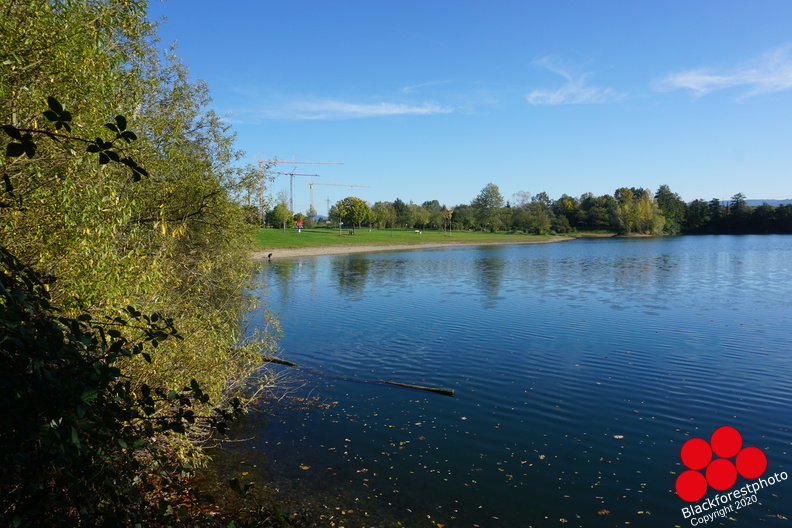 DSC07208.JPG