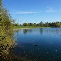 DSC07208