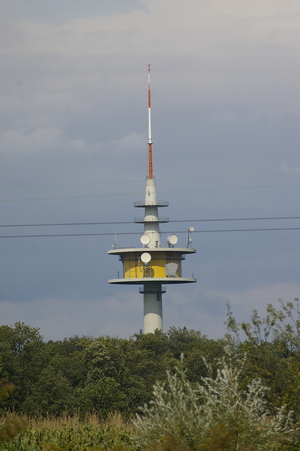  IGP3673
