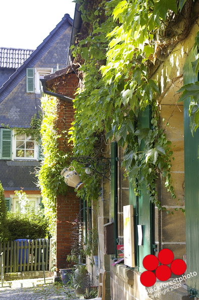 Bilder 009.JPG