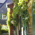 Bilder 009