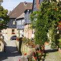 Bilder 010