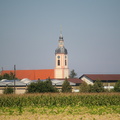IMGP2150