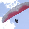  IGP9457