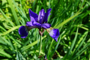 DSC06560