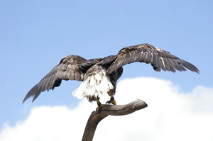 Kopie von K1024 20100809 440-1